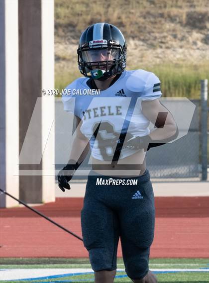 Thumbnail 1 in Reagan [Ronald] vs Steele photogallery.