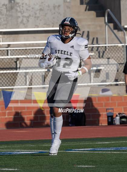 Thumbnail 1 in Reagan [Ronald] vs Steele photogallery.