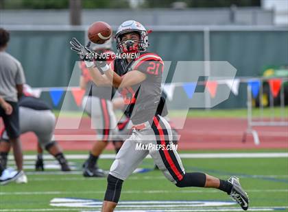 Thumbnail 3 in Brandeis vs Stevens [John Paul] photogallery.