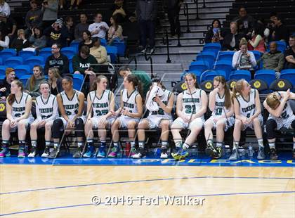 Thumbnail 3 in Palo Alto vs. North Salinas (CIF CCS D1 Final) photogallery.