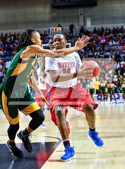 Thumbnail 1 in Parkview vs. Mills University Studies (AAA 5A Final) photogallery.