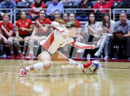 Thumbnail 1 in Canyon vs. Grapevine (UIL Volleyball 5A Semifinals) photogallery.