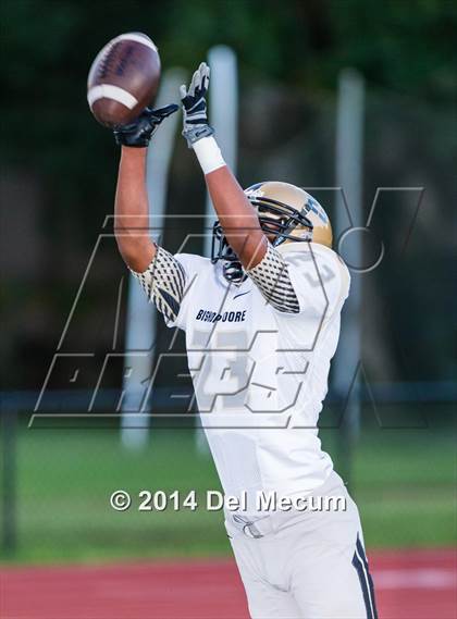 Thumbnail 1 in Bishop Moore @ Jesuit photogallery.