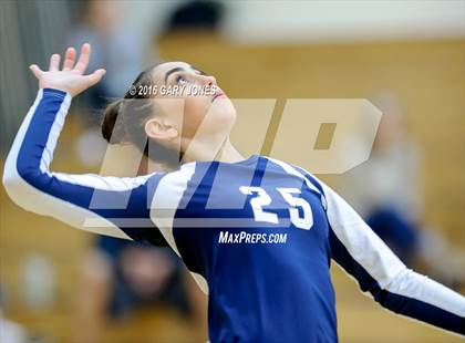Thumbnail 1 in American vs Whitney (CIF NorCal D2 Playoff) photogallery.