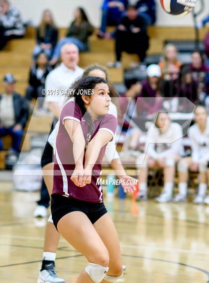 Thumbnail 1 in American vs Whitney (CIF NorCal D2 Playoff) photogallery.