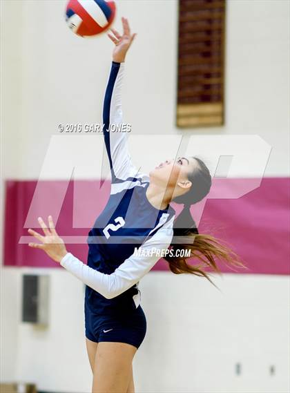 Thumbnail 2 in American vs Whitney (CIF NorCal D2 Playoff) photogallery.