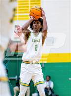 Photo from the gallery "Pinecrest @ Richmond"