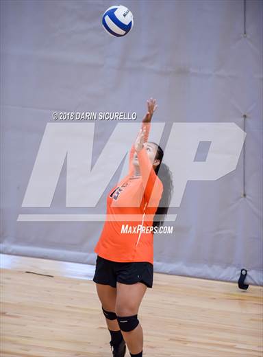 null - Photo 01