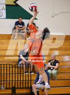 Photo from the gallery "Cosumnes Oaks @ Monterey Trail"