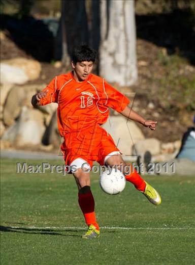null - Photo 31