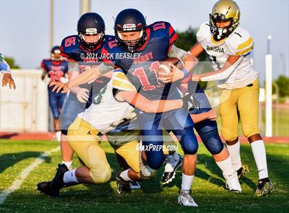 Thumbnail 1 in Basha @ Perry photogallery.