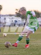 Photo from the gallery "Anthem Prep @ Phoenix Christian"