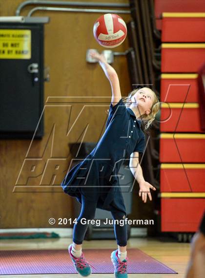 Thumbnail 2 in Maria Carrillo vs. Cardinal Newman photogallery.