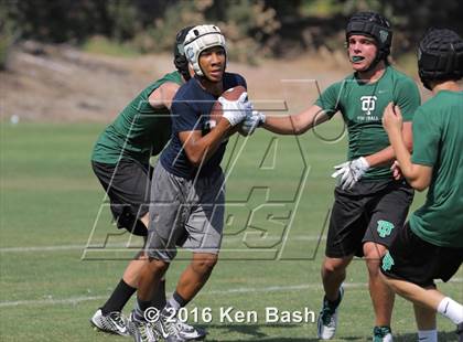 Thumbnail 1 in 7-on-7 Tournament photogallery.