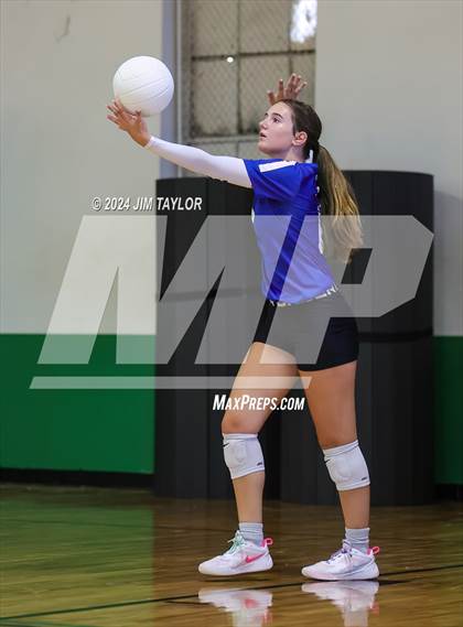 Thumbnail 2 in Lipan @ Santo photogallery.