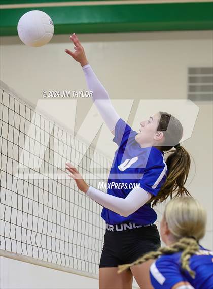 Thumbnail 3 in Lipan @ Santo photogallery.