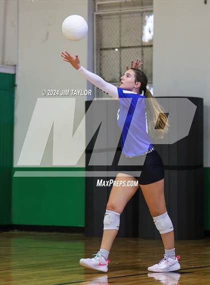 Thumbnail 3 in Lipan @ Santo photogallery.
