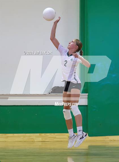 Thumbnail 3 in Lipan @ Santo photogallery.