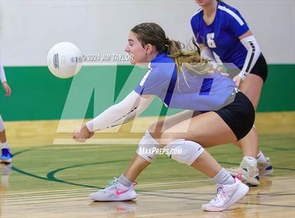 Thumbnail 3 in Lipan @ Santo photogallery.