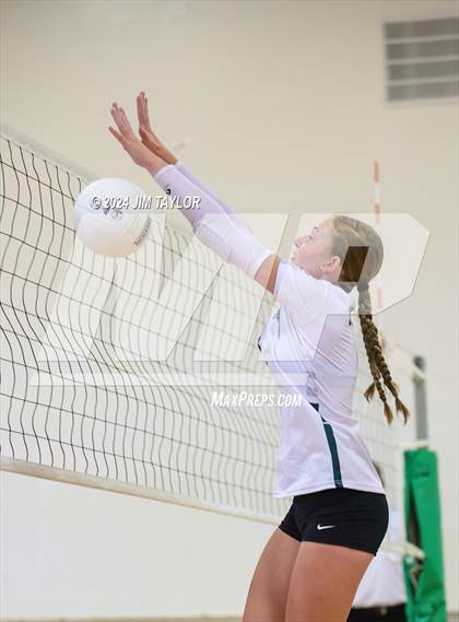Thumbnail 1 in Lipan @ Santo photogallery.