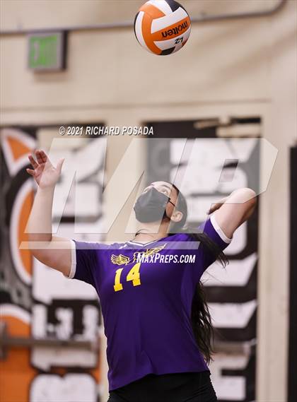 Thumbnail 3 in Fresno @ Selma photogallery.