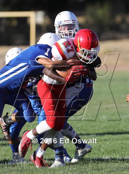 Thumbnail 2 in JV: De Anza @ Lower Lake photogallery.