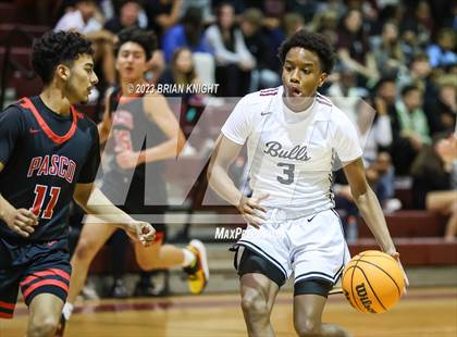 Thumbnail 3 in Pasco @ Wiregrass Ranch photogallery.