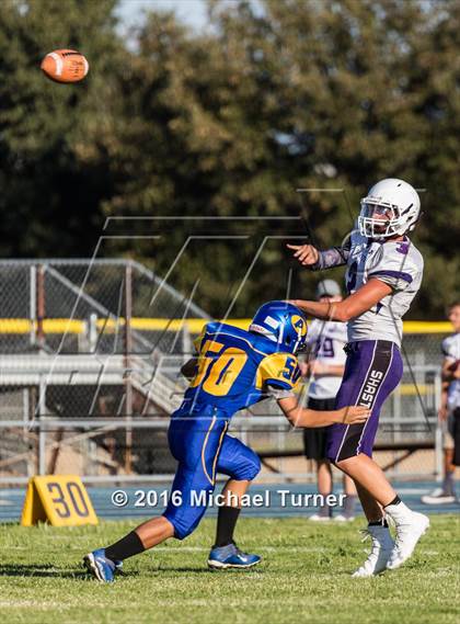 Thumbnail 3 in Shasta @ Anderson  photogallery.
