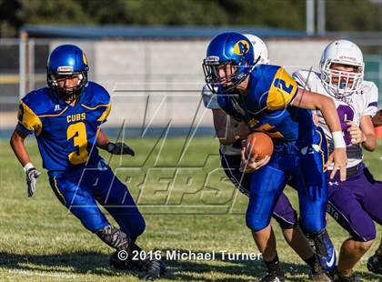 Thumbnail 3 in Shasta @ Anderson  photogallery.