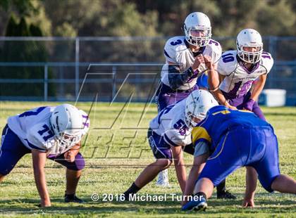 Thumbnail 1 in Shasta @ Anderson  photogallery.