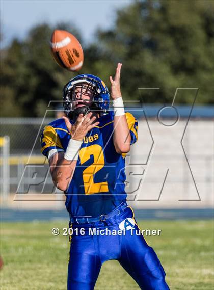 Thumbnail 3 in Shasta @ Anderson  photogallery.