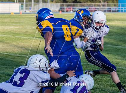 Thumbnail 2 in Shasta @ Anderson  photogallery.
