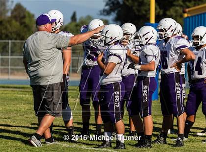 Thumbnail 3 in Shasta @ Anderson  photogallery.