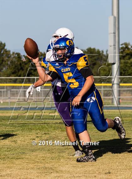 Thumbnail 3 in Shasta @ Anderson  photogallery.