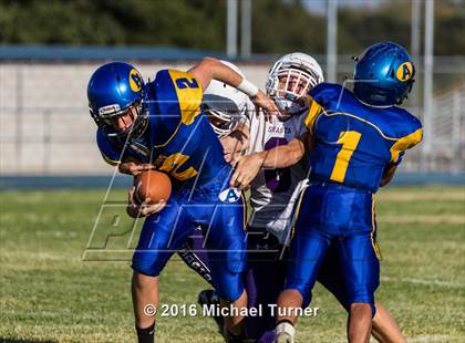 Thumbnail 2 in Shasta @ Anderson  photogallery.