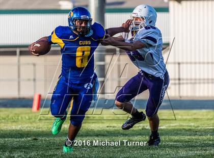Thumbnail 1 in Shasta @ Anderson  photogallery.