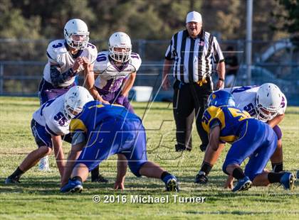 Thumbnail 2 in Shasta @ Anderson  photogallery.