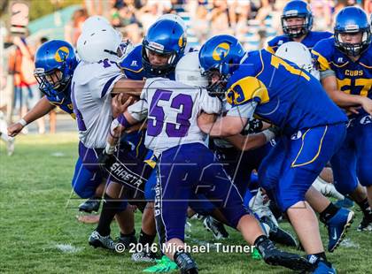 Thumbnail 1 in Shasta @ Anderson  photogallery.