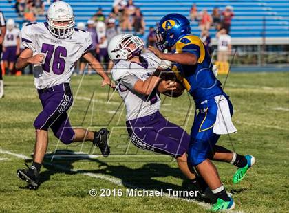 Thumbnail 2 in Shasta @ Anderson  photogallery.