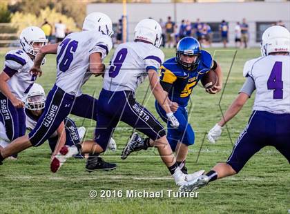 Thumbnail 3 in Shasta @ Anderson  photogallery.