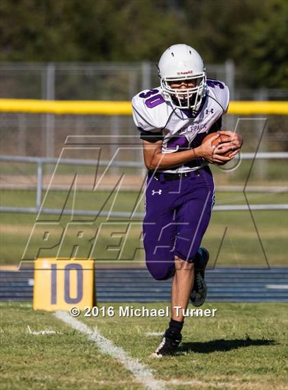 Thumbnail 2 in Shasta @ Anderson  photogallery.