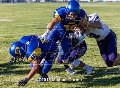 Thumbnail 2 in Shasta @ Anderson  photogallery.