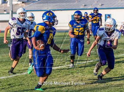 Thumbnail 3 in Shasta @ Anderson  photogallery.