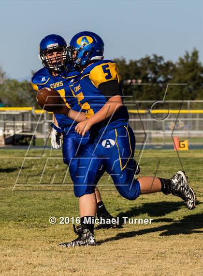 Thumbnail 1 in Shasta @ Anderson  photogallery.
