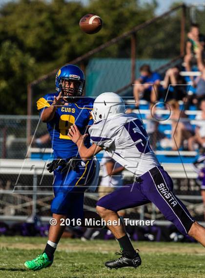 Thumbnail 1 in Shasta @ Anderson  photogallery.