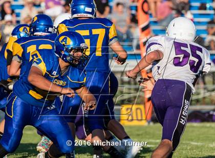 Thumbnail 2 in Shasta @ Anderson  photogallery.
