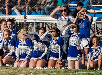 Thumbnail 2 in Shasta @ Anderson  photogallery.