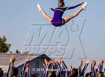 Thumbnail 3 in Shasta @ Anderson  photogallery.