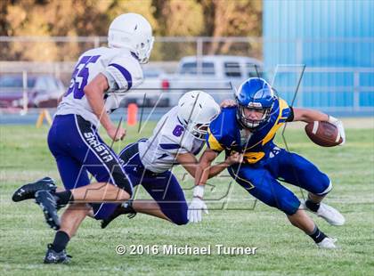Thumbnail 1 in Shasta @ Anderson  photogallery.