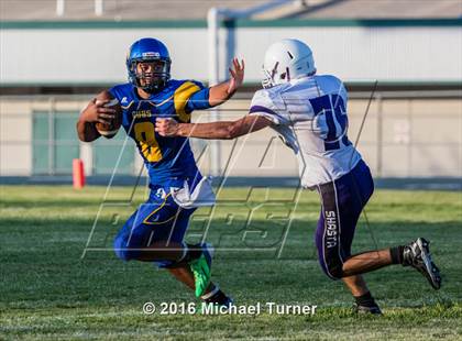 Thumbnail 2 in Shasta @ Anderson  photogallery.